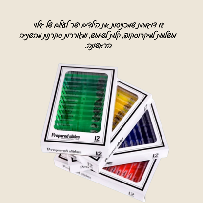 דוגמיות מיקרו עולם