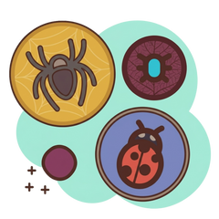 מקרבים למה שמסקרן