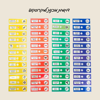 דוגמיות מיקרו עולם