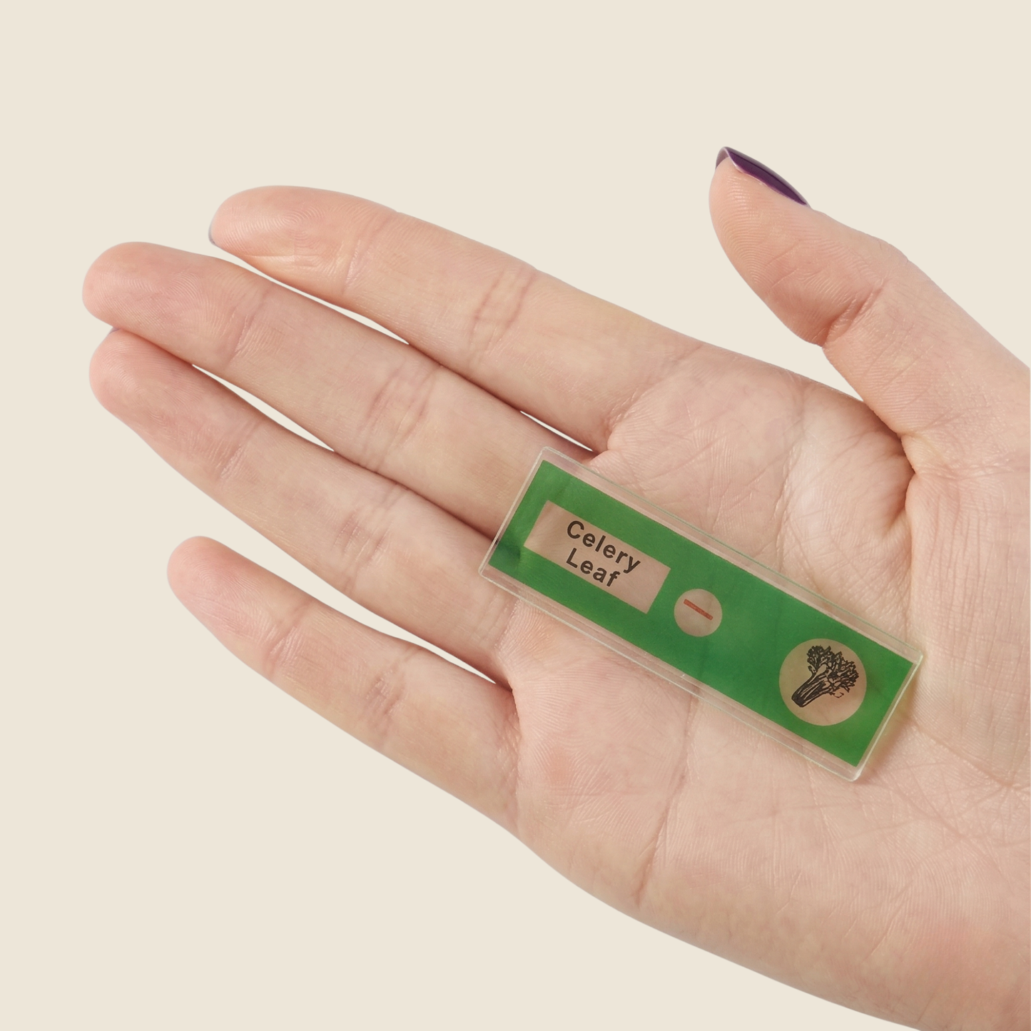 דוגמיות מיקרו עולם