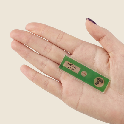 דוגמיות מיקרו עולם